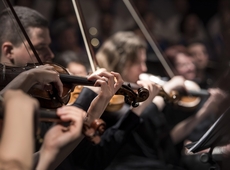 orkest