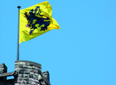 Vlaamse leeuw