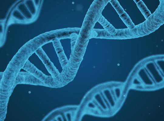 DNA DNA